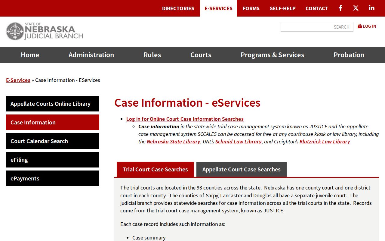 Saline County court docket access explanation from Nebraska Judicial Branch eServices