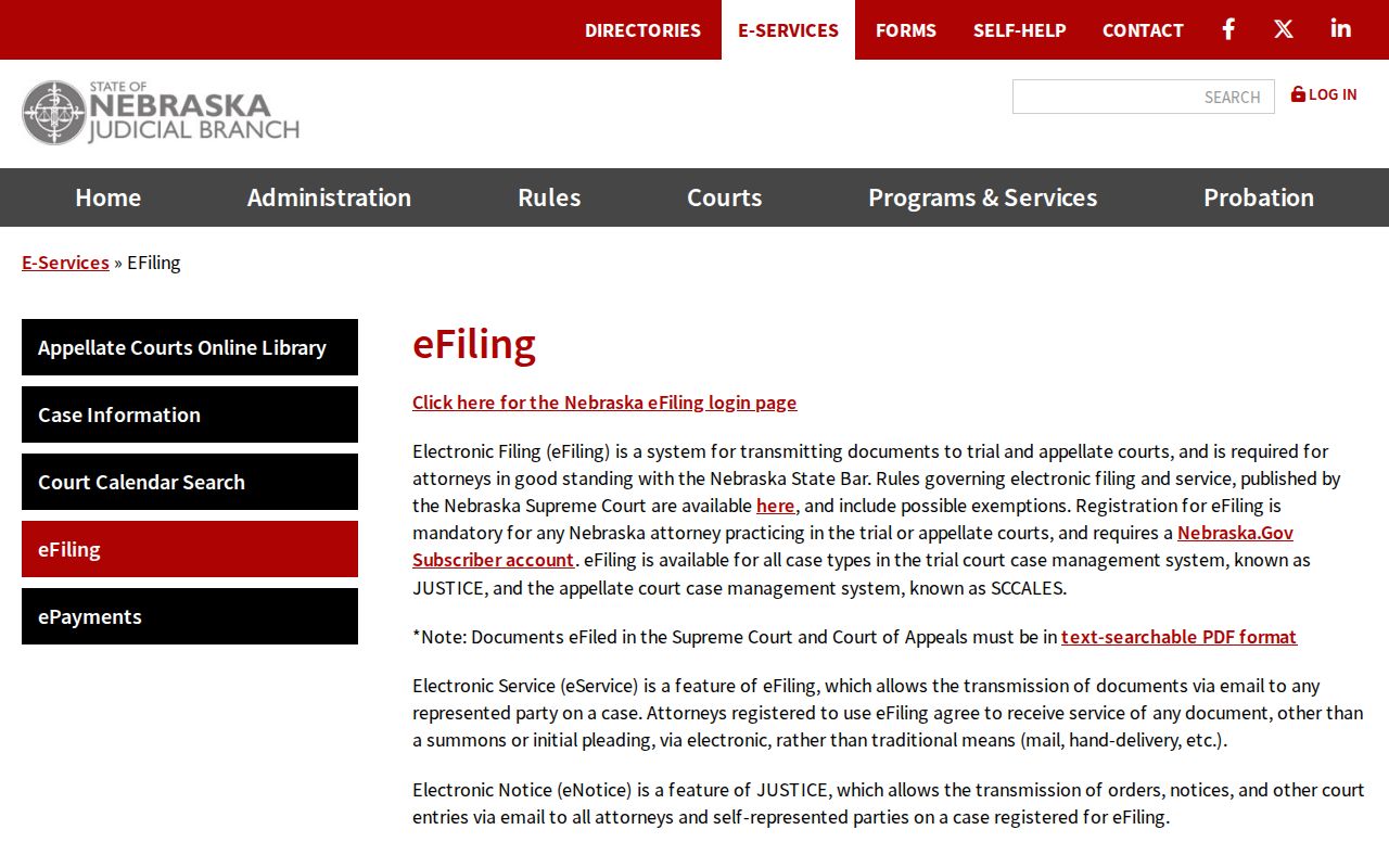 Saline County court docket public access boundary for Nebraska eFiling and public records